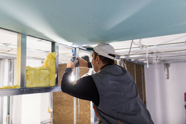 Best Commercial Insulation in Waverly, VA