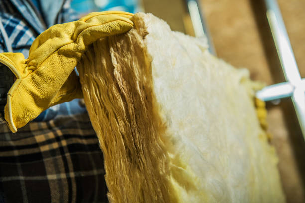 Best Residential Insulation in Waverly, VA