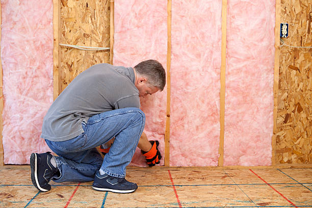 Best Insulation Maintenance and Repair in Waverly, VA