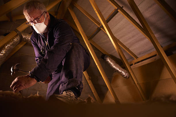Best Energy Efficiency Solutions in Waverly, VA